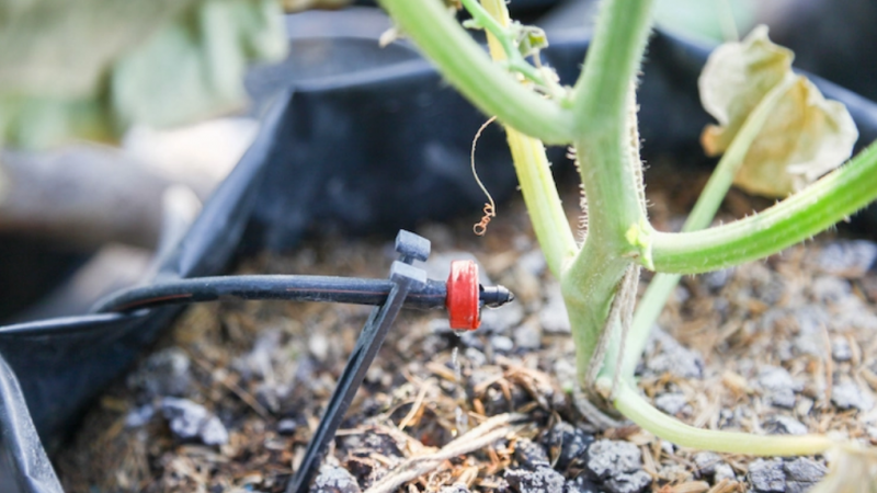 How Drip Irrigation Installation Benefits the Environment