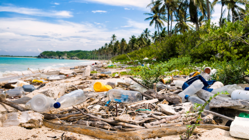 The Break Free From Plastic Pollution Act: What Is It?